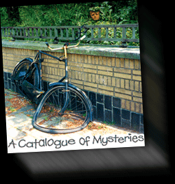 A Catalogue of Mysteries by Darwyn 1997